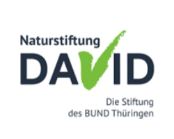 Logo NatDavid